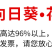 玩具熊向日葵种子春季盆栽花卉种籽重瓣矮生四季花海景观植物
