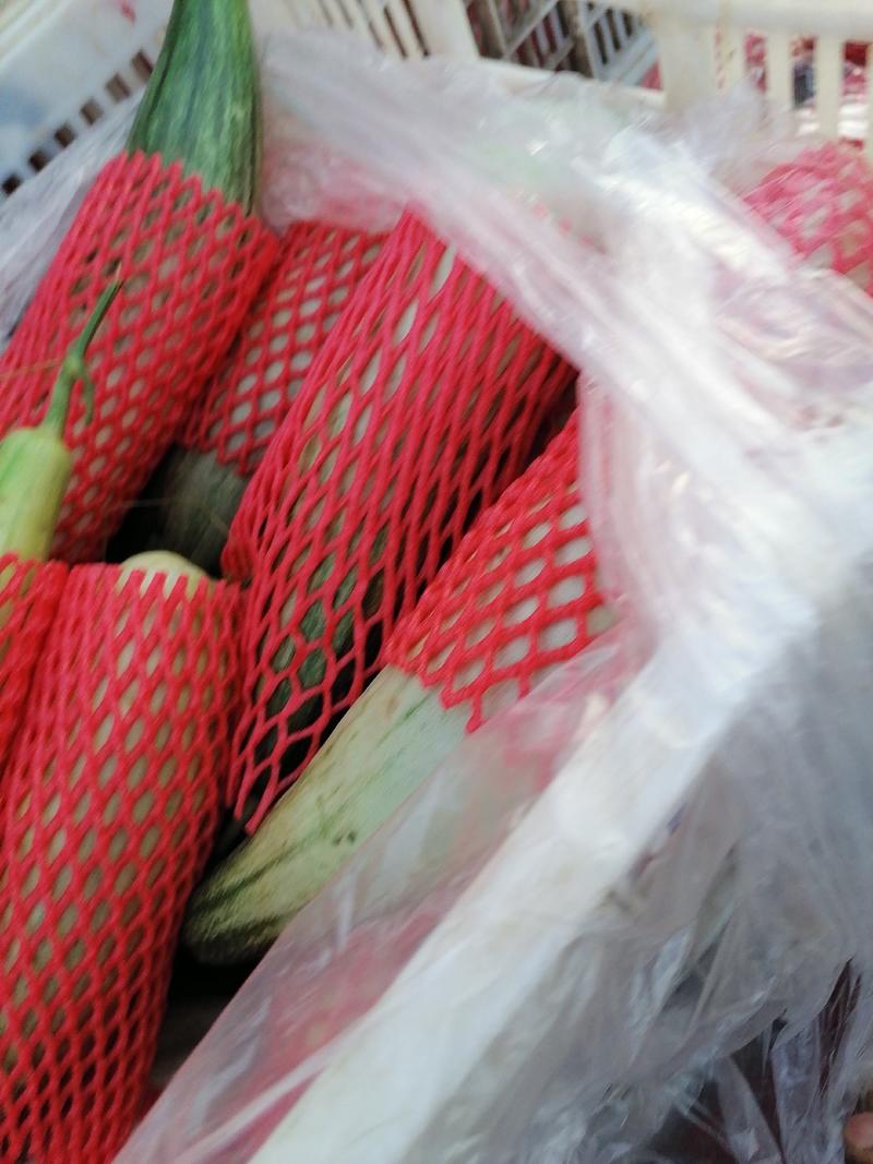 青州市羊角蜜博洋系列绿宝甜瓜上市
