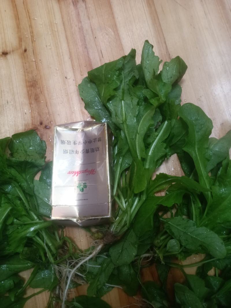 新鲜荠荠菜，刚刚上市。货源提前预定