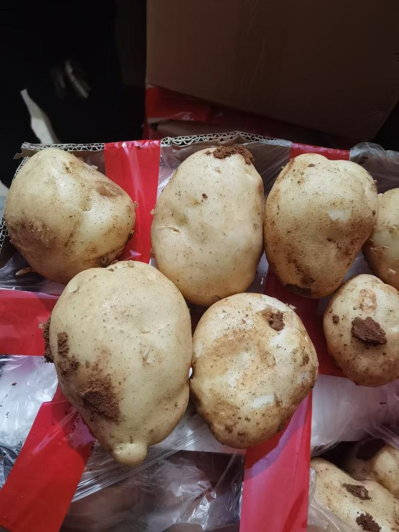 云南新货土豆丽薯6号上市还有30个挂。硬3俩起