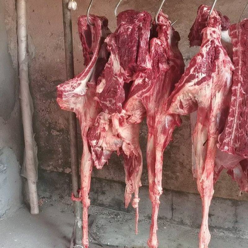 精品新鲜驴肉带皮驴肉，厂家直发，货源充足，品质保证
