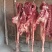 精品新鲜驴肉带皮驴肉，厂家直发，货源充足，品质保证