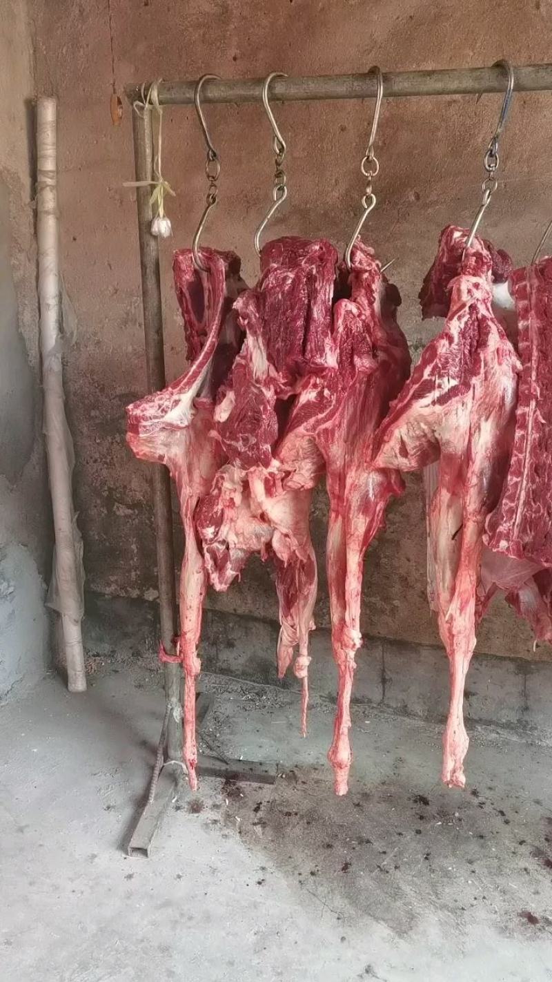 精品新鲜驴肉带皮驴肉，厂家直发，货源充足，品质保证