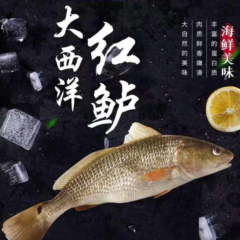 礼品盒装高端淡水鱼