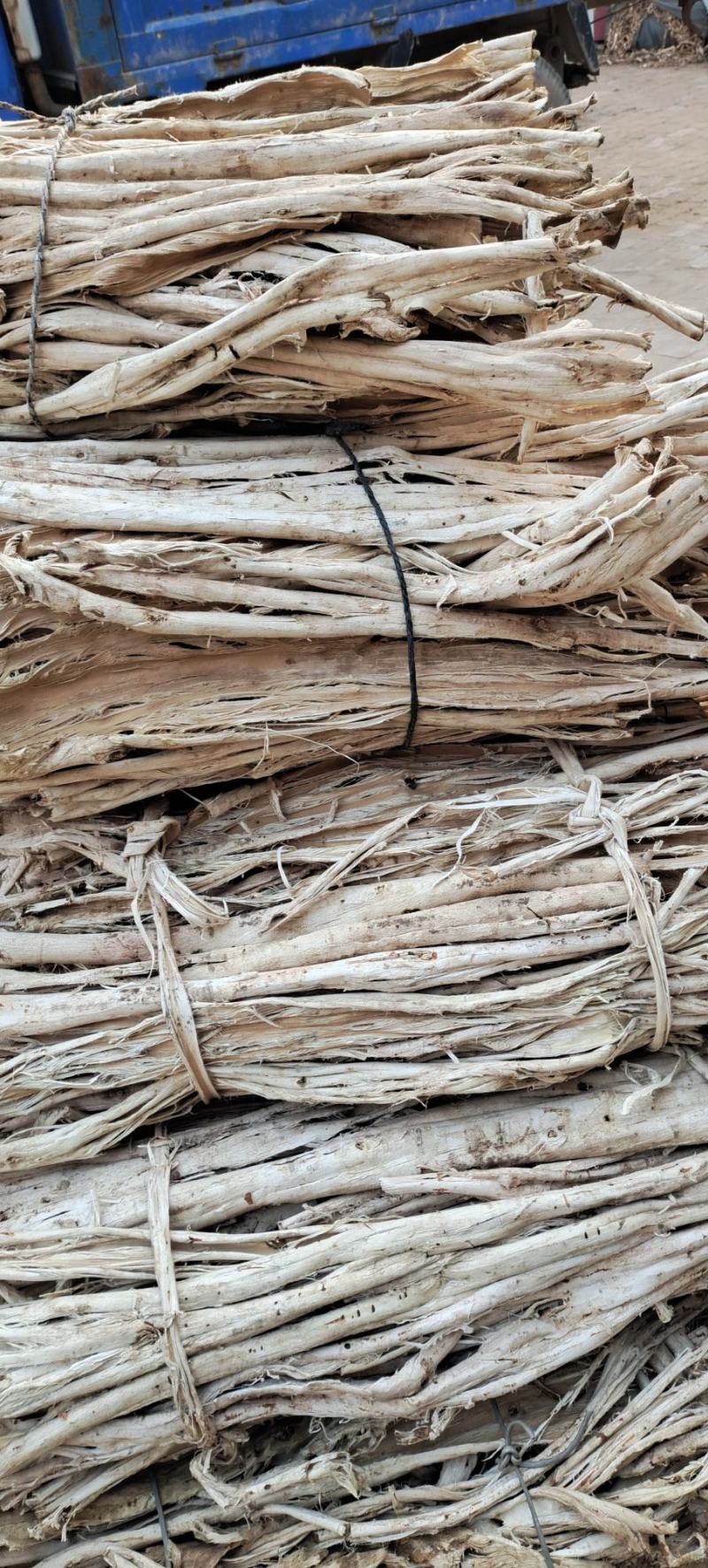 桑白皮，白桑皮批发，桑白皮基地，买桑白皮，哪里有桑白皮