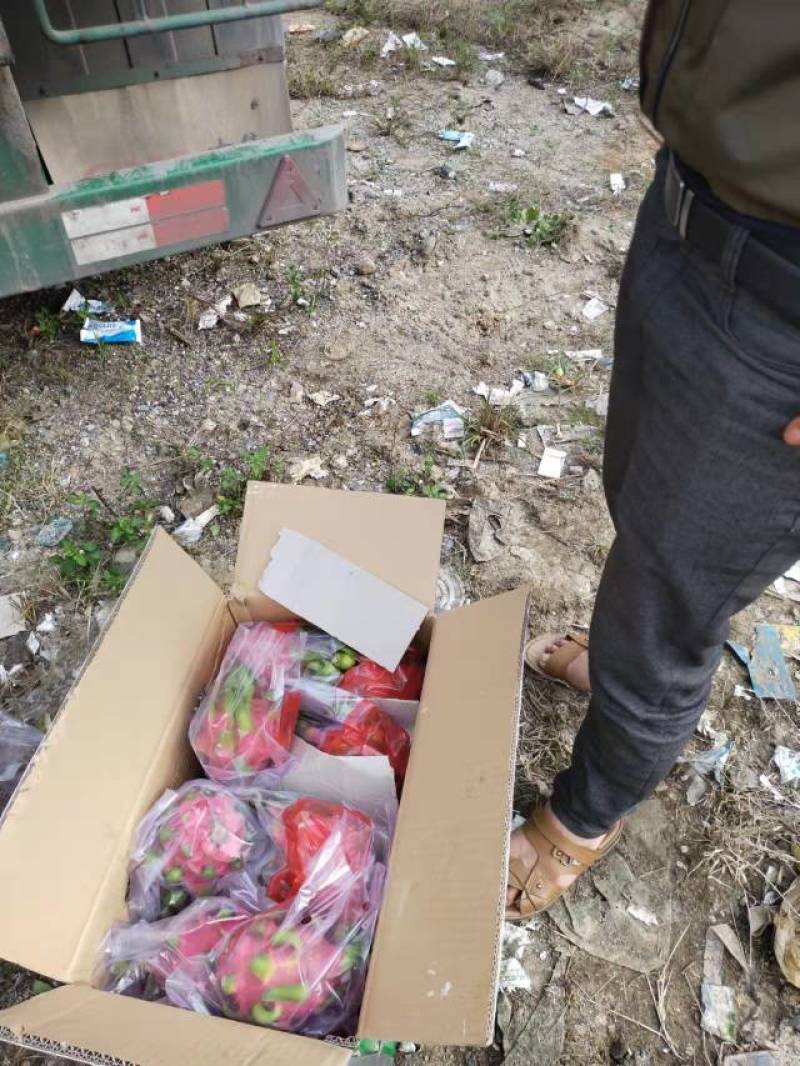 越南红心火龙果