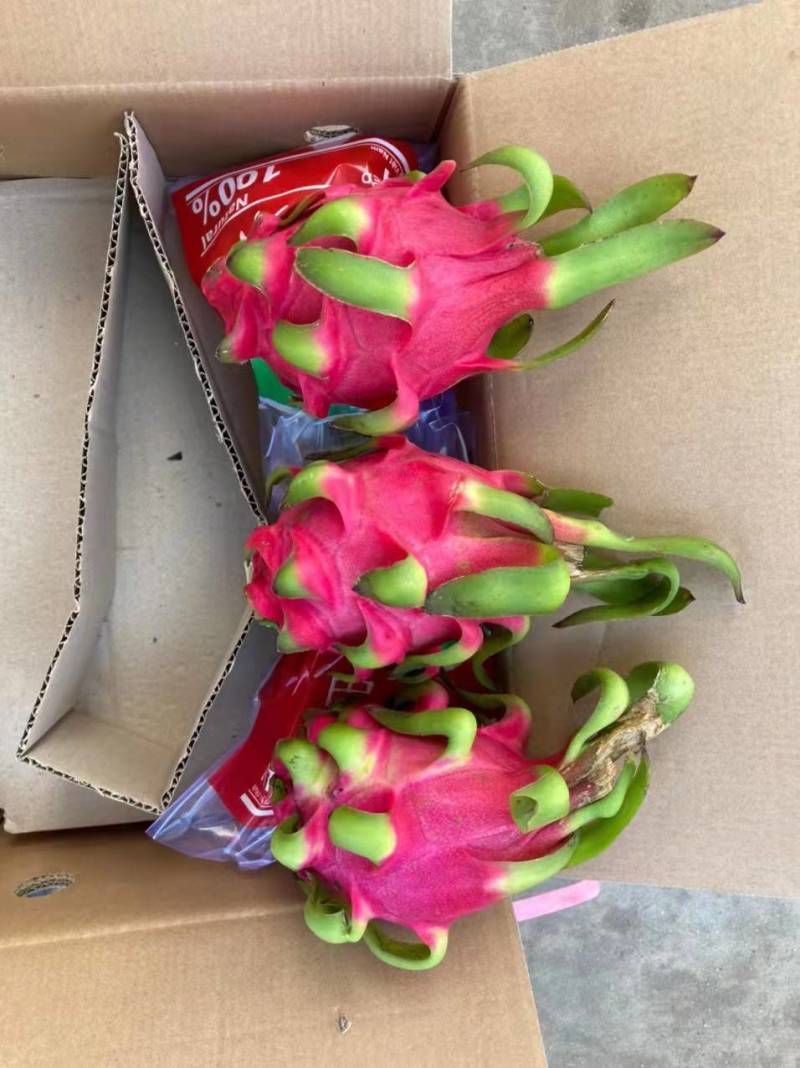 越南红心火龙果