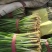 精品二刀韭菜，通货韭菜，服务至上，质量保证