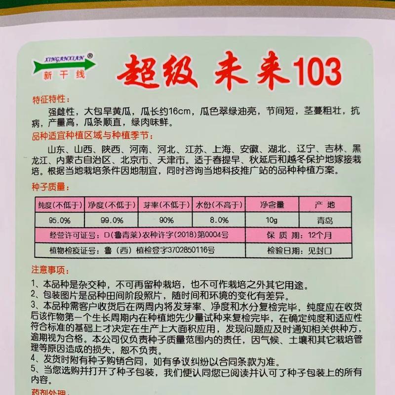 未来103黄瓜种子升级品种瓜色绿亮耐寒抗病大包旱黄瓜种子