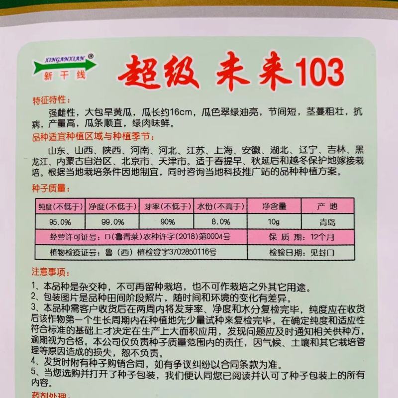 强雌大苞旱黄瓜种子未来103黄瓜种子油亮型黄瓜种籽耐寒