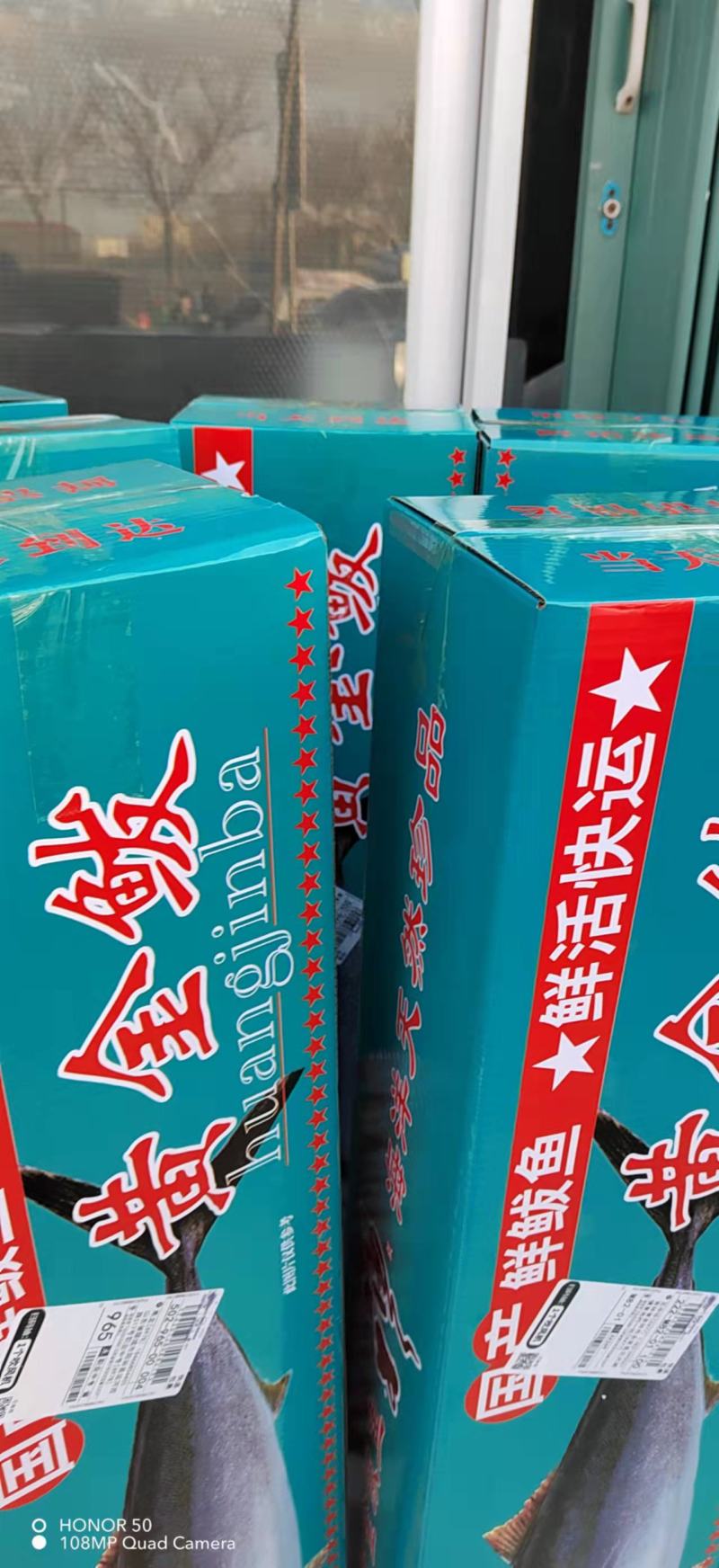 黄金大鲅鱼深海大鱼鲜度好质量有保证厂家直销年底清库存