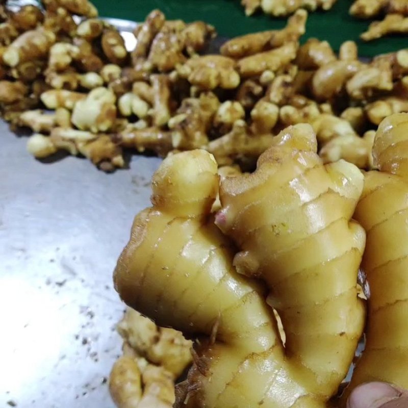 大黄姜生姜电商出口超市批发市场零销全国发货