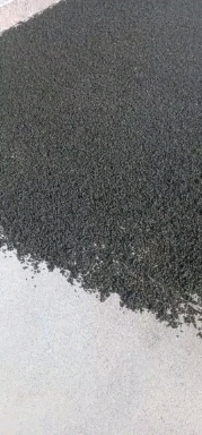精品地皮菜