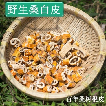 桑白皮中药材桑皮中药桑根白皮正品中草药桑树根皮