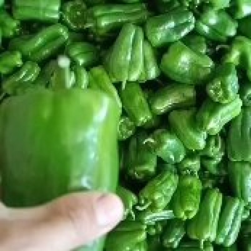 圆椒