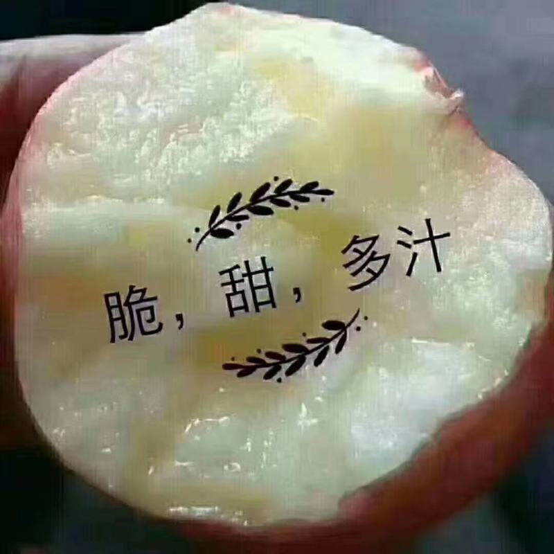 小时农家果园种植的红富士苹果皮薄多汁，脆甜可口！