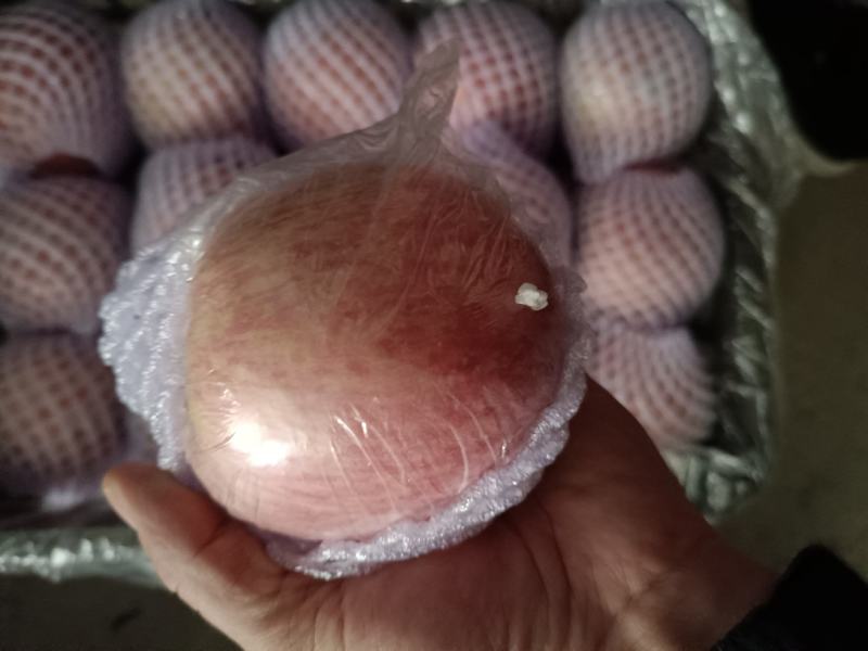小时农家果园种植的红富士苹果皮薄多汁，脆甜可口！