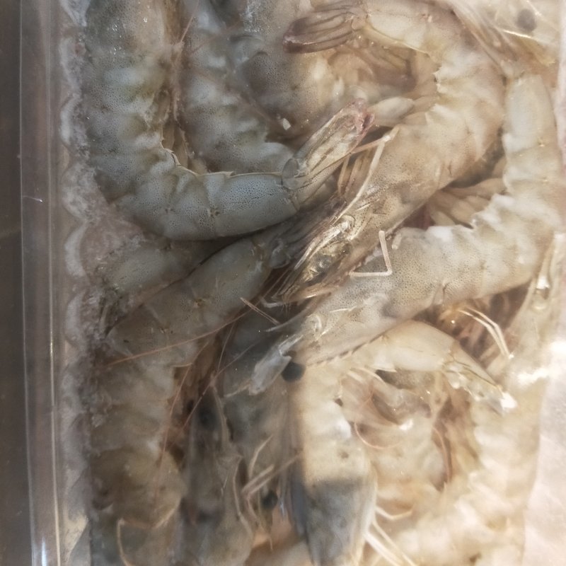 冷冻海洋对虾一手货源