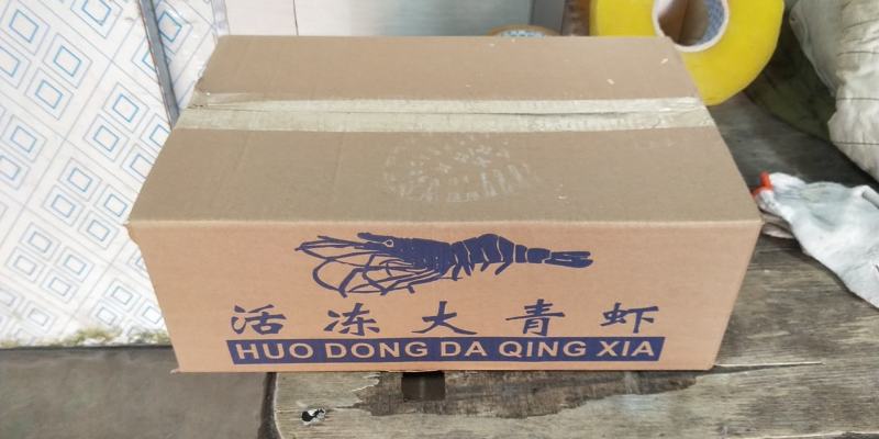 冷冻海洋对虾一手货源