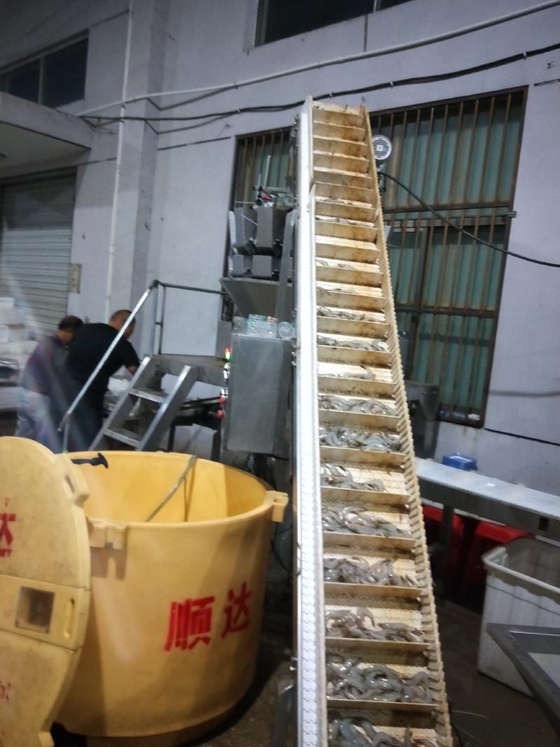 冷冻海洋对虾一手货源