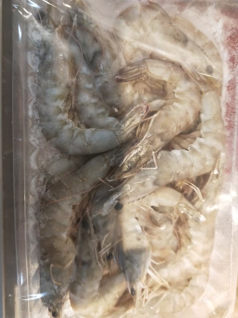 冷冻海洋对虾一手货源