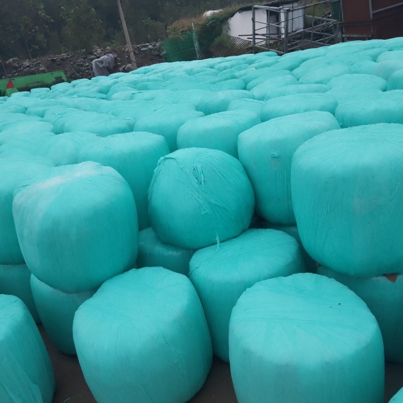 玉米青储秸秆厂家直销量大从优，管上车，可帮助找车