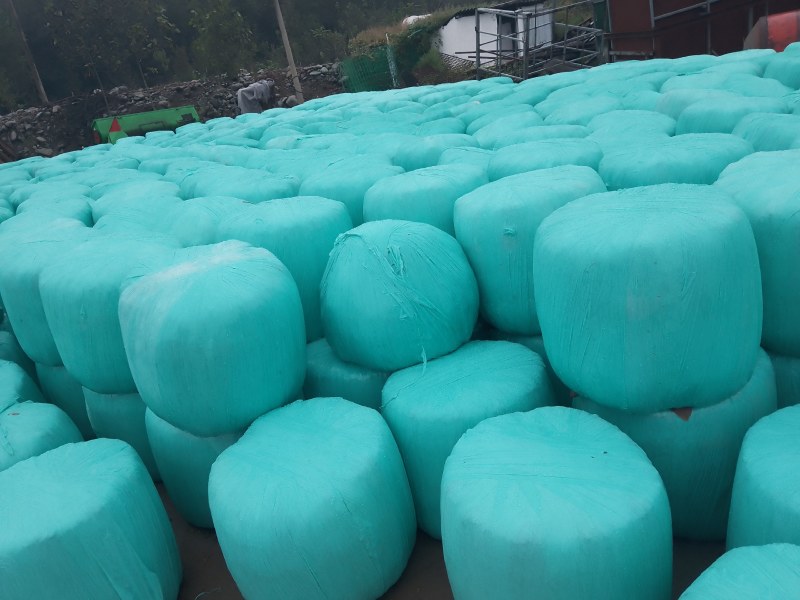 玉米青储秸秆厂家直销量大从优，管上车，可帮助找车
