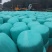 玉米青储秸秆厂家直销量大从优，管上车，可帮助找车