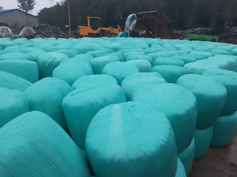 玉米青储秸秆厂家直销量大从优，管上车，可帮助找车