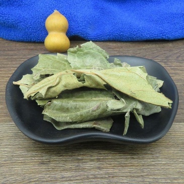 柿叶柿子叶霜柿叶中药材净货不满意可退换货