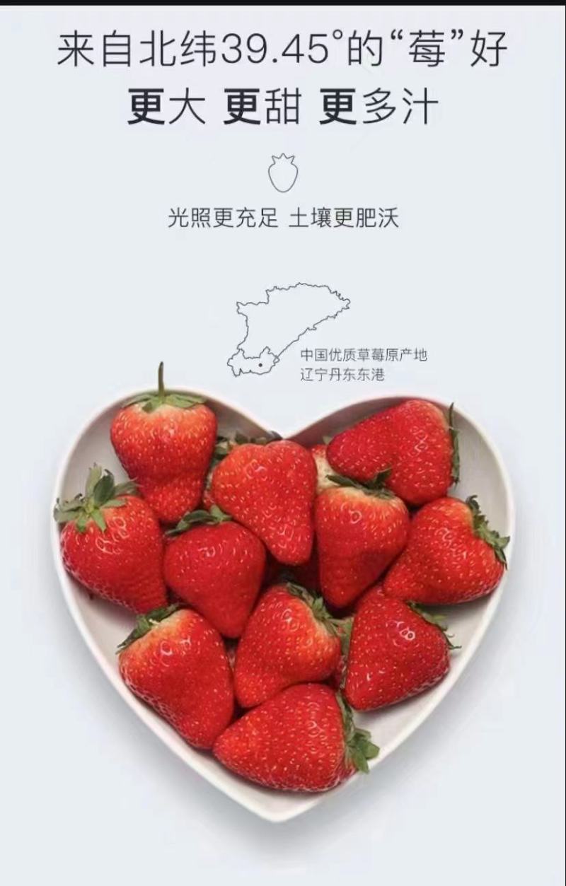 一件代发黑金礼盒丹东99红颜牛奶草莓3斤批发代办团购