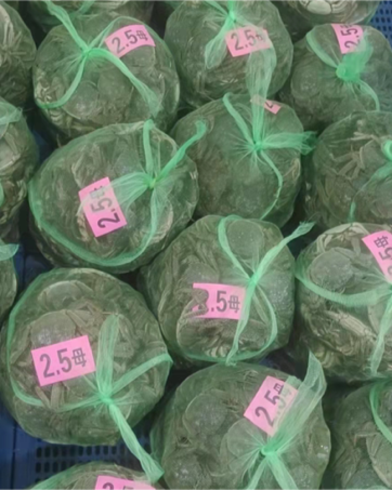 江苏大闸蟹直发硬38规格满膏满黄干净