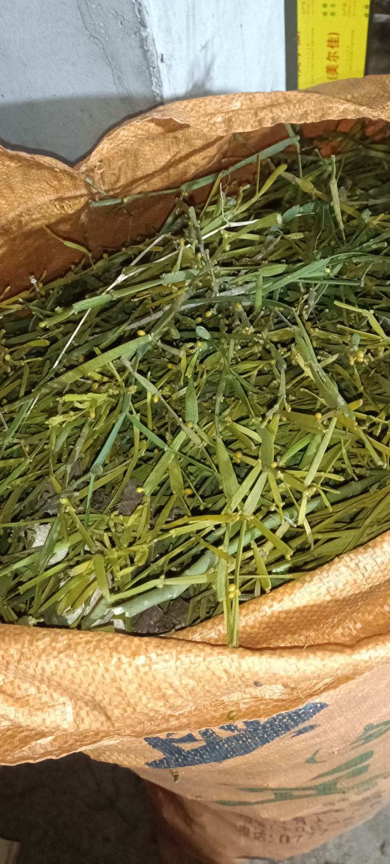 螃蟹寄生，槲寄生鲜货现采现发，干货质量好。