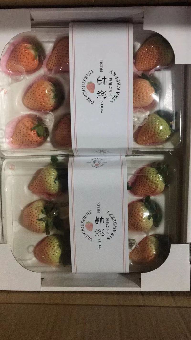 白草莓（梦芝莹、梦芝娇、梦芝芙、天使、建德白露……、）