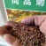 茼蒿菊种子多年生宿根花种籽子木春菊种子玛格丽特花种