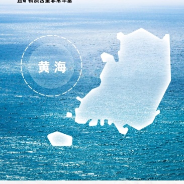 小黄花鱼黄花鱼新鲜海捕真空包装各种规格都有