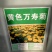 南非万寿菊花种子蓝目菊花籽子室外庭院鲜花种子花期长四季种
