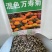 南非万寿菊花种子蓝目菊花籽子室外庭院鲜花种子花期长四季种