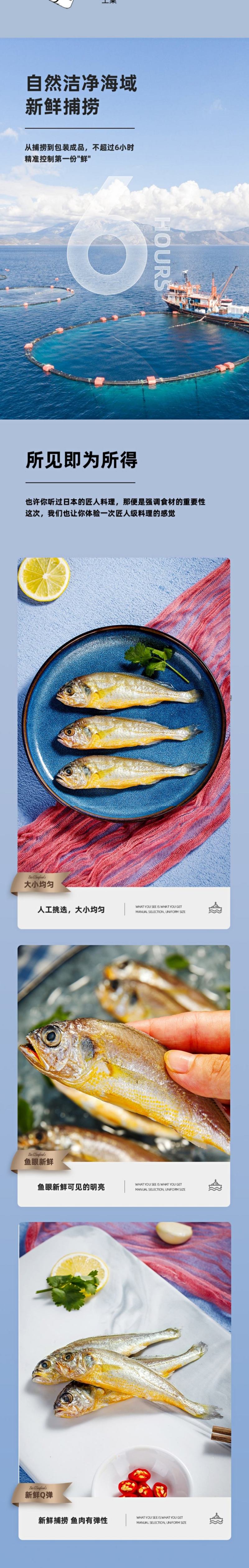小黄花鱼黄花鱼新鲜海捕真空包装各种规格都有