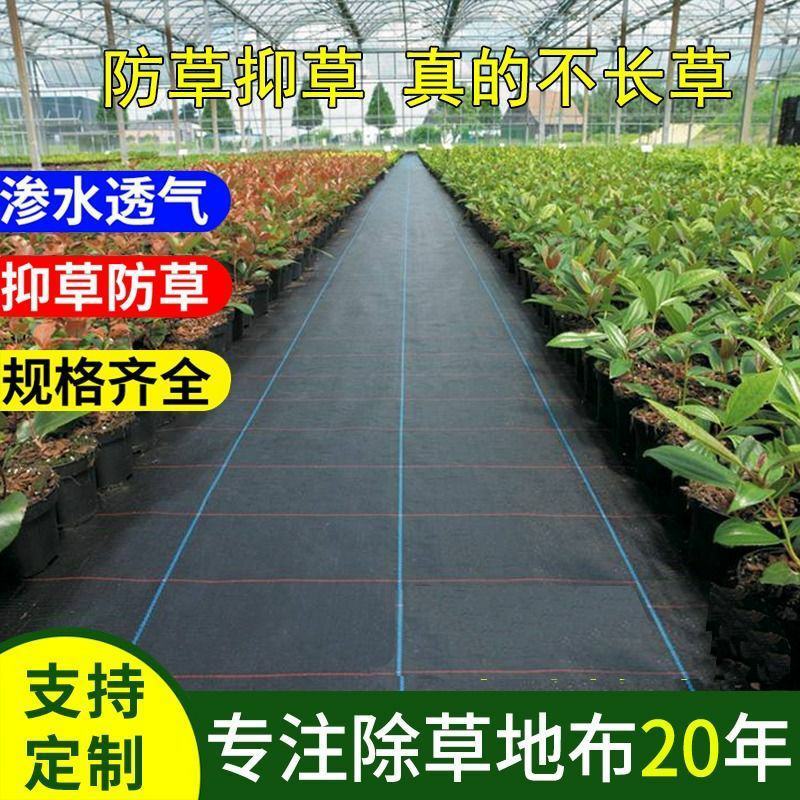 除草布除草布抗老化果园果树遮草盖草布农用园艺地布耐用透气