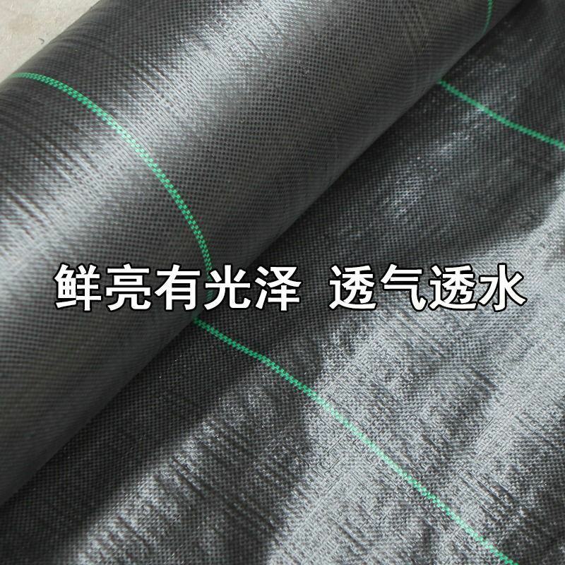 除草布除草布抗老化果园果树遮草盖草布农用园艺地布耐用透气