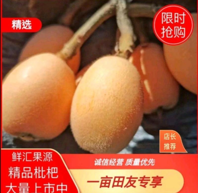 【一件代发】优质枇杷大量供应一手货源基地直供，支持电商发