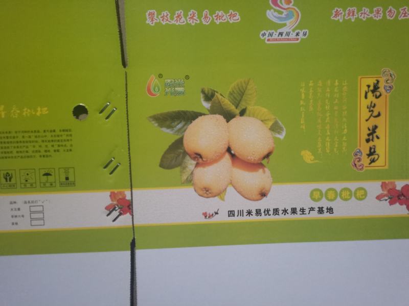 【一件代发】优质枇杷大量供应一手货源基地直供，支持电商发