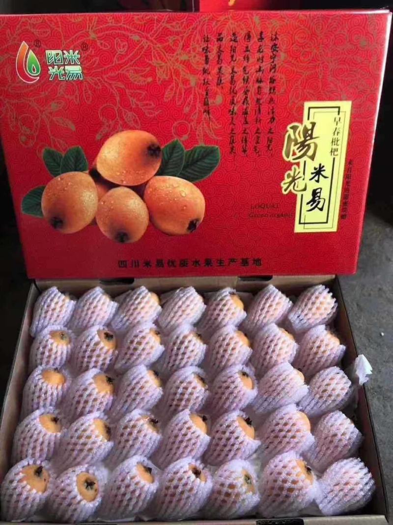 【一件代发】优质枇杷大量供应一手货源基地直供，支持电商发