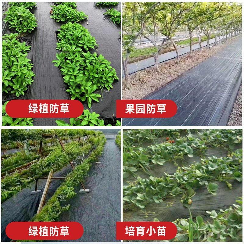 厂家直销防草布除草布抗老化大棚果园果树遮盖草布膜农用园艺