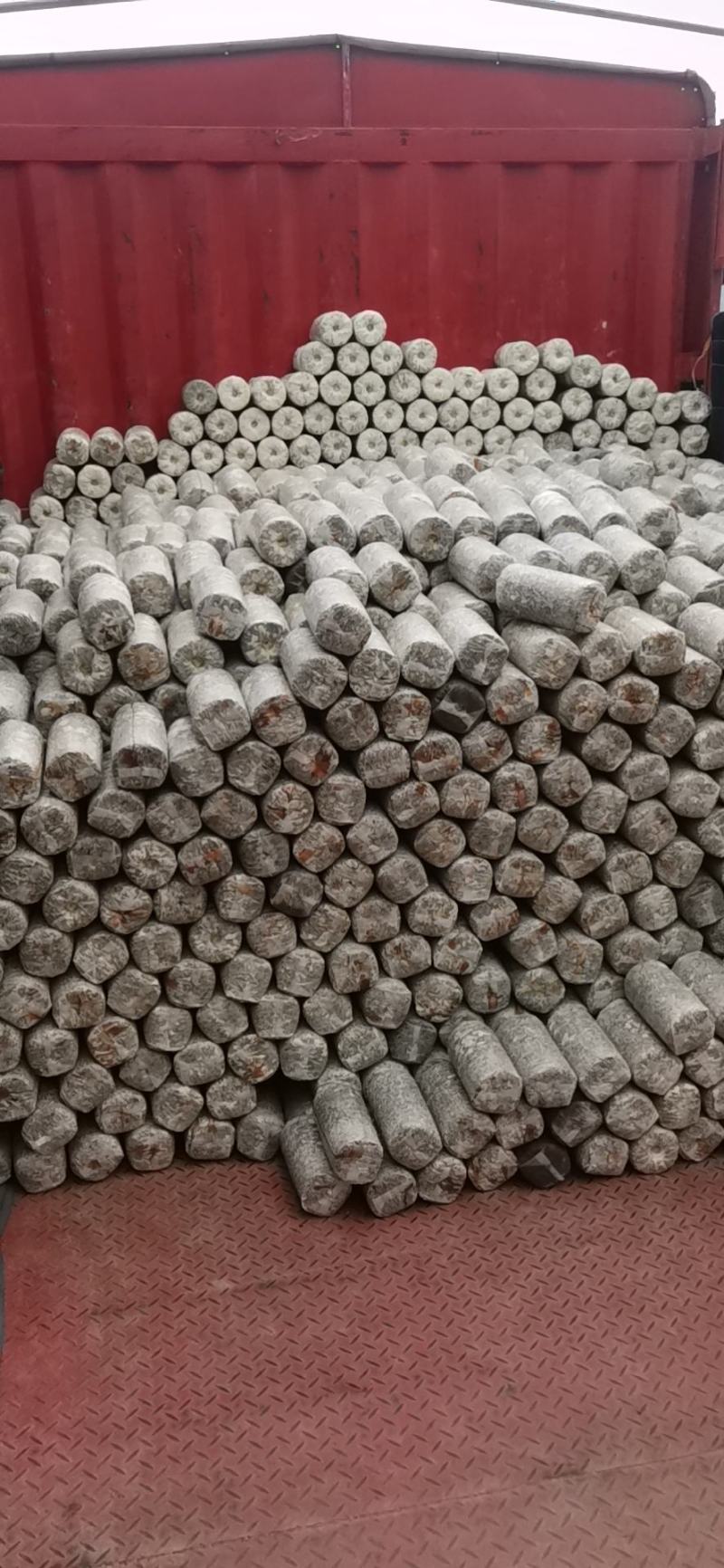 白灵菇菌棒菌包产量高划口即出现货直发随时供货