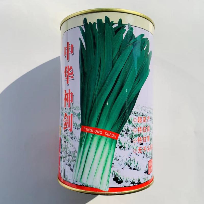 航研998韭宝绿宝四季韭菜种子不休眠平丰6号791高产耐