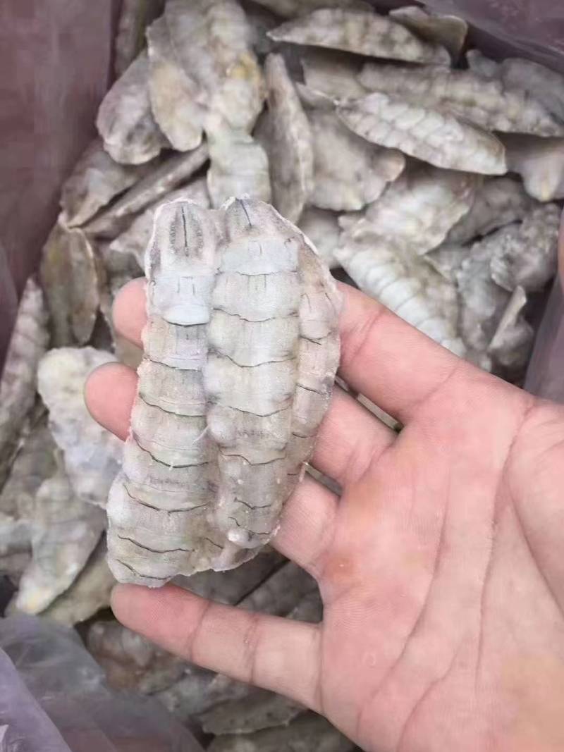 皮皮虾肉