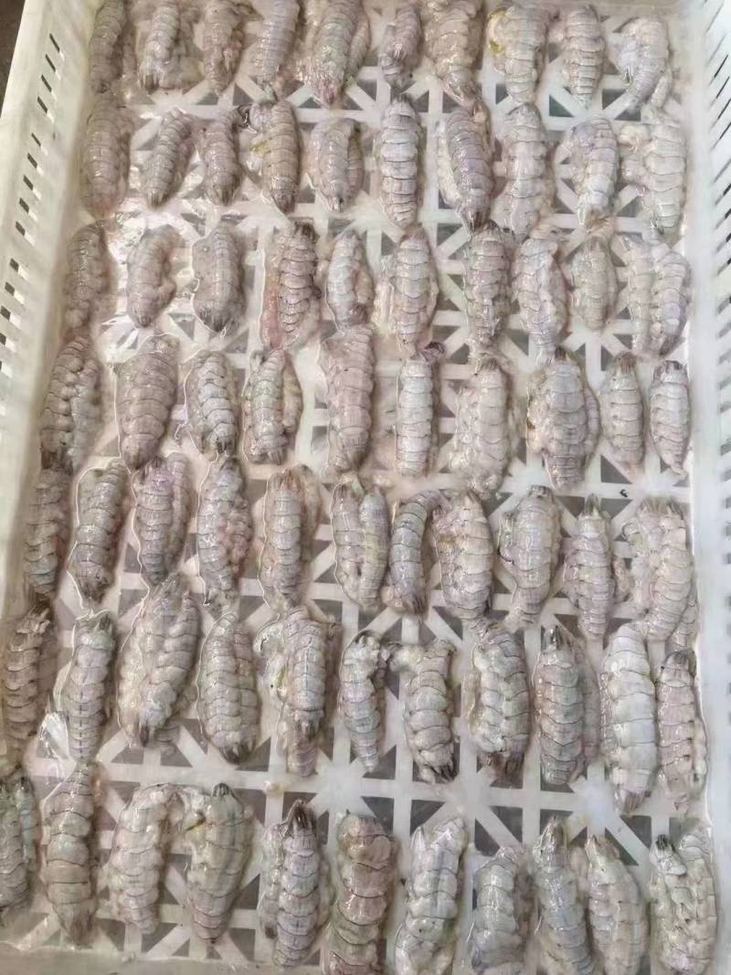 皮皮虾肉