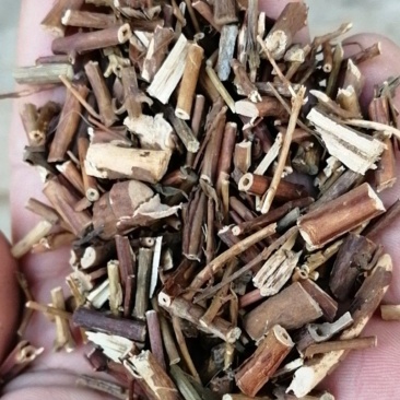 贯叶金丝桃干货只买正品不满意可退换货